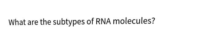 What are the subtypes of RNA molecules?
