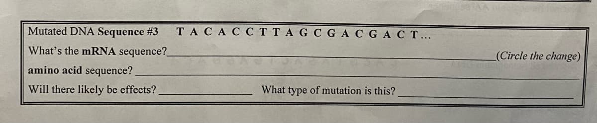 Mutated DNA Sequence #3
TACAC CT TAG C GACGACT...
What's the mRNA sequence?
(Circle the change)
amino acid sequence?
Will there likely be effects?
What type of mutation is this?
