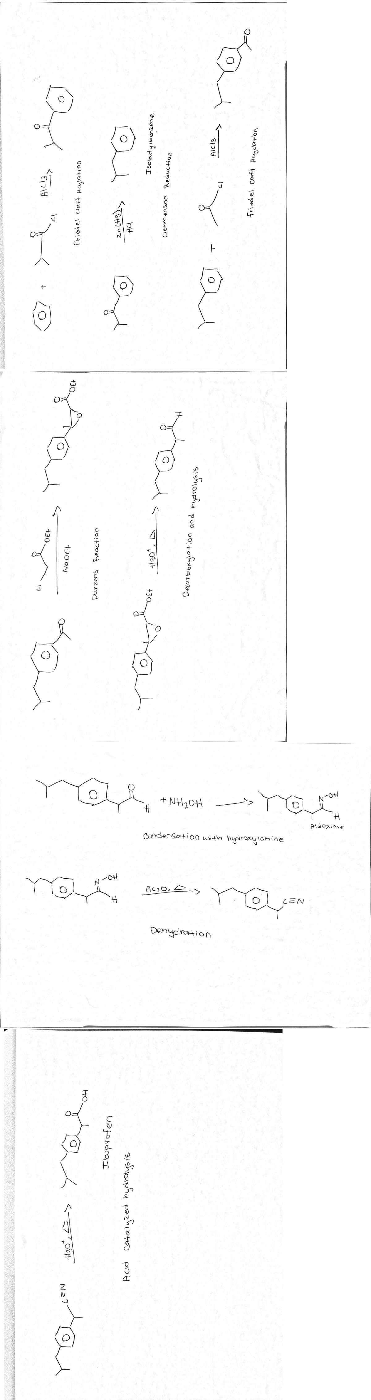 NH20H
N-OH
Aldoxime
Condensation with hydroxylamine
-0H
AczO, E>
CEN
Denydration
friedel craft Acylation
DE+
Isobutyibenzene
duazuaqıh
Na OEt
clemmenson Reductio.
H.
+30.
2 =
HO
NE?
H30°
I buprofen
Acid Catalyzed hydrdysis
