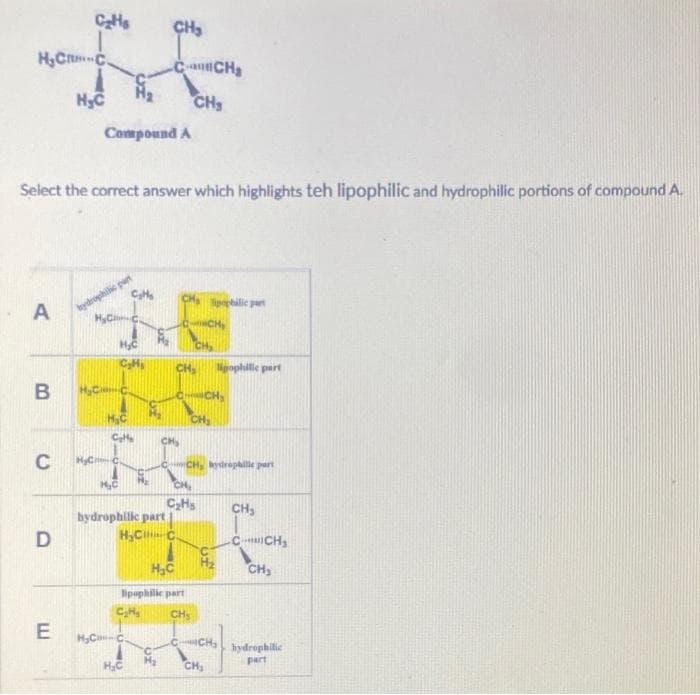 C₂Hs
H₂CC.
H₂C H₂
Compound A
Select the correct answer which highlights teh lipophilic and hydrophilic portions of compound A.
lipophilic part
A
hydrophilic part
H₂CC.
H₂C
CH₂
C₂H₂
CH₂ Hieroglittle part
B
CH₂
CH₂
C
CH, hydrophilic part
CH₂
D
CCH₂
CH₂
E
hydrophilic
part
H₂C C
H₂C
C₂H
C₂H₂
H₂C-C
H₂C
CH₂
CCH₂
CH₂
کیں
CH₂
H₂CC.
H₂
H₂C
bydrophilic part
H₂CC.
H₂C
lipophilic part
C₂H₂ CH₂
H₂
CH₂
C₂Hs
H₂
ICH₂
CH₂
