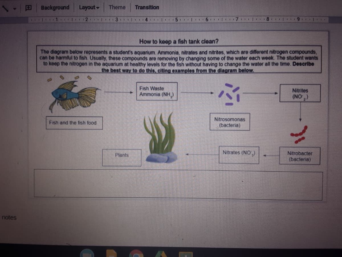 Background
Layout
Theme
Transition
E3
C . 1. 2
5. | 6 7 I 8
911 E
How to keep a fish tank clean?
The diagram below represents a student's aquarium Ammonia, nitrates and nitrites, which are different nitrogen compounds,
can be harmful to fish. Usually, these compounds are removing by changing some of the water each week. The student wants
to keep the nitrogen in the aquarum at healthy levels for the fish without having to change the water all the time. Describe
the best way to do this, citing eoxamples from the diagram below.
Fish Waste
Ammonia (NH)
Nitrites
(NO)
Nitrosomonas
(bacteria)
Fish and the fish food
Plants
Nitrates (NO)
Nitrobacter
(bacteria)
notes
