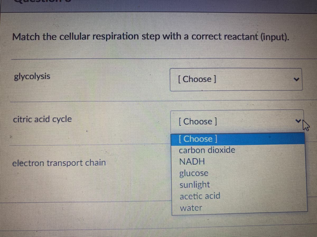 Match the cellular respiration step with a correct reactant (input).
glycolysis
[ Choose ]
citric acid cycle
[Choose]
[Choose]
carbon dioxide
NADH
glucose
sunlight
acetic acid
clectron transport chain
water
