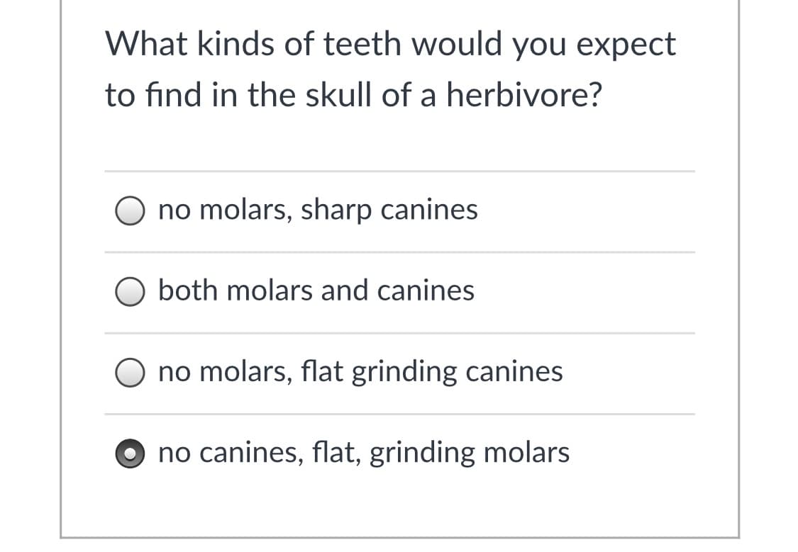 What kinds of teeth would you expect
to find in the skull of a herbivore?
O no molars, sharp canines
O both molars and canines
O no molars, flat grinding canines
no canines, flat, grinding molars

