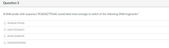 Question 5
A DNA probe with sequence TCAGGCTTCAG would bind most strongly to which of the following DNA fragments?
O TCAGGCTTCAG
O GACTTCGGACT
O AGTCCGAAGTC
O UGAGGCUUGAG
