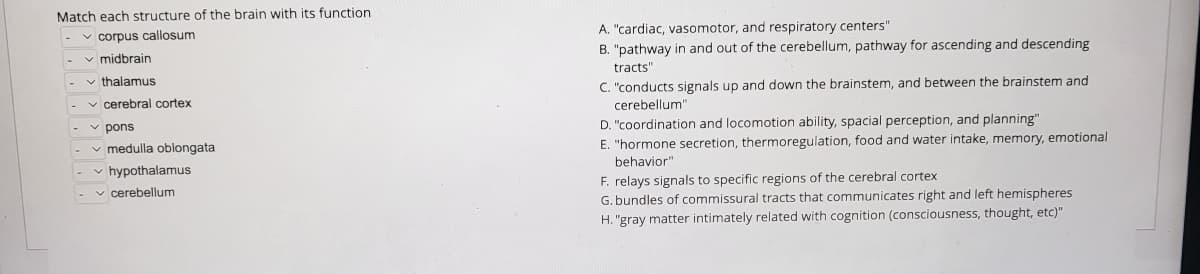 Match each structure of the brain with its function.
✓corpus callosum
✓midbrain
✓thalamus
cerebral cortex
✓pons
✓medulla oblongata
✓hypothalamus
✓ cerebellum
A. "cardiac, vasomotor, and respiratory centers"
B. "pathway in and out of the cerebellum, pathway for ascending and descending
tracts"
C. "conducts signals up and down the brainstem, and between the brainstem and
cerebellum"
D. "coordination and locomotion ability, spacial perception, and planning"
E. "hormone secretion, thermoregulation, food and water intake, memory, emotional
behavior"
F. relays signals to specific regions of the cerebral cortex
G. bundles of commissural tracts that communicates right and left hemispheres
H. "gray matter intimately related with cognition (consciousness, thought, etc)"