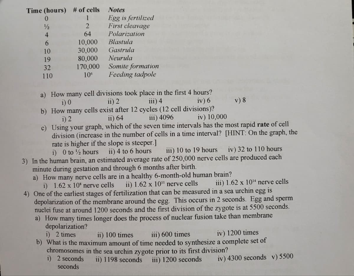 Time (hours) # of cells
1
2
64
10,000
30,000
80,000
170,000
106
0
½
4
6
10
19
32
110
Notes
Egg is fertilized
First cleavage
Polarization
Blastula
Gastrula
Neurula
Somite formation
Feeding tadpole
a) How many cell divisions took place in the first 4 hours?
i) 0
ii) 2
iv) 6
iii) 4
b) How many cells exist after 12 cycles (12 cell divisions)?
i) 2
ii) 64
iii) 4096
iv) 10,000
c) Using your graph, which of the seven time intervals has the most rapid rate of cell
division (increase in the number of cells in a time interval? [HINT: On the graph, the
rate is higher if the slope is steeper.]
0 to 12 hours
ii) 4 to 6 hours
v) 8
iii) 10 to 19 hours
iv) 32 to 110 hours
3) In the human brain, an estimated average rate of 250,000 nerve cells are produced each
minute during gestation and through 6 months after birth.
a) How many nerve cells are in a healthy 6-month-old human brain?
i) 1.62 x 108 nerve cells ii) 1.62 x 10¹¹ nerve cells
iii) 1.62 x 10¹4 nerve cells
4) One of the earliest stages of fertilization that can be measured in a sea urchin egg is
depolarization of the membrane around the egg. This occurs in 2 seconds. Egg and sperm
nuclei fuse at around 1200 seconds and the first division of the zygote is at 5500 seconds.
a) How many times longer does the process of nuclear fusion take than membrane
depolarization?
i) 2 times
ii) 100 times
iii) 600 times
iv) 1200 times
b) What is the maximum amount of time needed to synthesize a complete set of
chromosomes in the sea urchin zygote prior to its first division?
i) 2 seconds ii) 1198 seconds iii) 1200 seconds
seconds
iv) 4300 seconds v) 5500