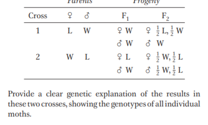 Cross
F1
F2
1
L W
오 늘 w,IL
ở W 8 } W,L
2
W L
오L
Provide a clear genetic explanation of the results in
these two crosses, showing the genotypes of all individual
moths.
