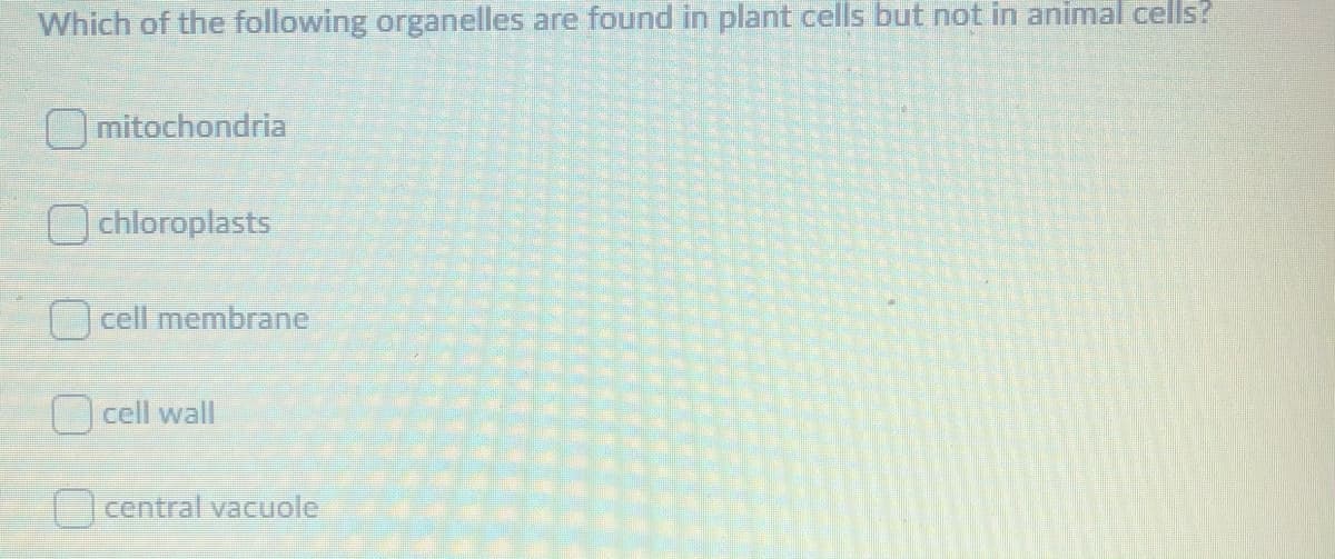 Which of the following organelles are found in plant cells but not in animal cells?
O mitochondria
chloroplasts
cell membrane
O cell wall
|central vacuole
