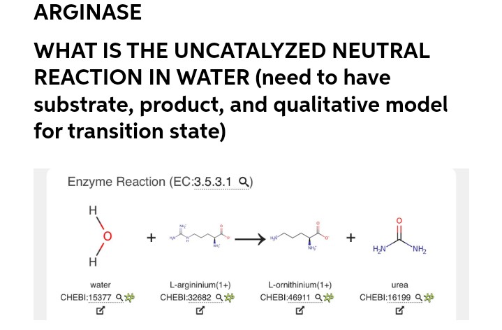 ARGINASE
WHAT IS THE UNCATALYZED NEUTRAL
REACTION IN WATER (need to have
substrate, product, and qualitative model
for transition state)
Enzyme Reaction (EC:3.5.3.1 Q)
H
+
NH
HN
`NH2
water
L-argininium(1+)
L-ornithinium(1+)
urea
CHEBI:15377 Q
CHEBI:32682 Q
CHEBI:46911 Q
CHEBI:16199 Q
