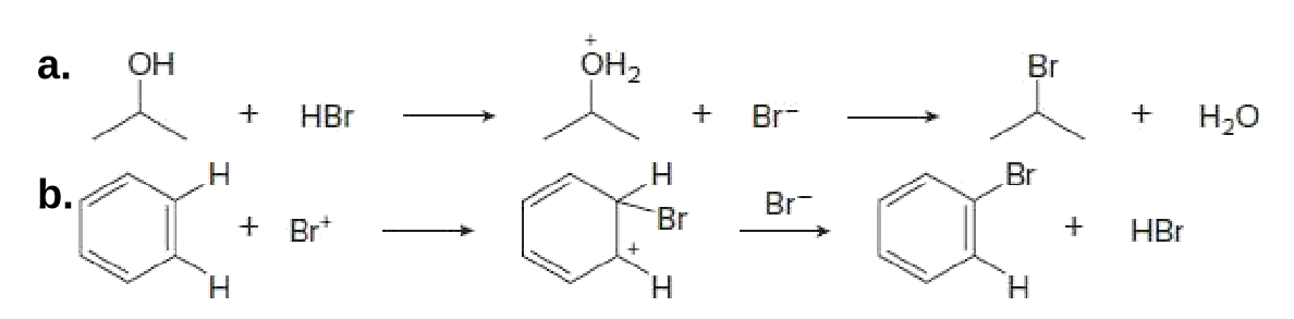 a.
OH
она
Br
HBr
+ Br-
Нао
н
Br
Br-
+ Br*
Br
HBr
Н
н
H.
b.
