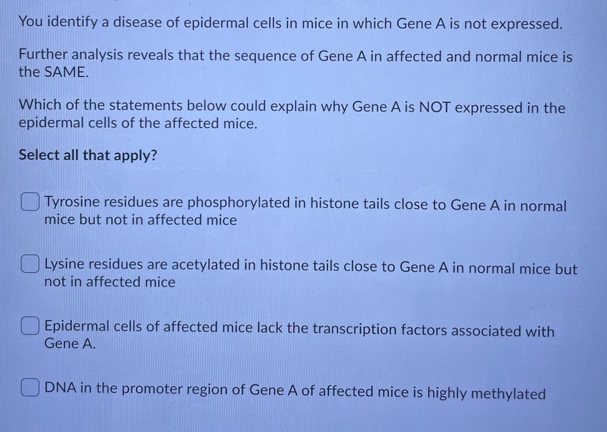 You identify a disease of epidermal cells in mice in which Gene A is not expressed.
Further analysis reveals that the sequence of Gene A in affected and normal mice is
the SAME.
Which of the statements below could explain why Gene A is NOT expressed in the
epidermal cells of the affected mice.
Select all that apply?
Tyrosine residues are phosphorylated in histone tails close to Gene A in normal
mice but not in affected mice
O Lysine residues are acetylated in histone tails close to Gene A in normal mice but
not in affected mice
Epidermal cells of affected mice lack the transcription factors associated with
Gene A.
DNA in the promoter region of Gene A of affected mice is highly methylated
