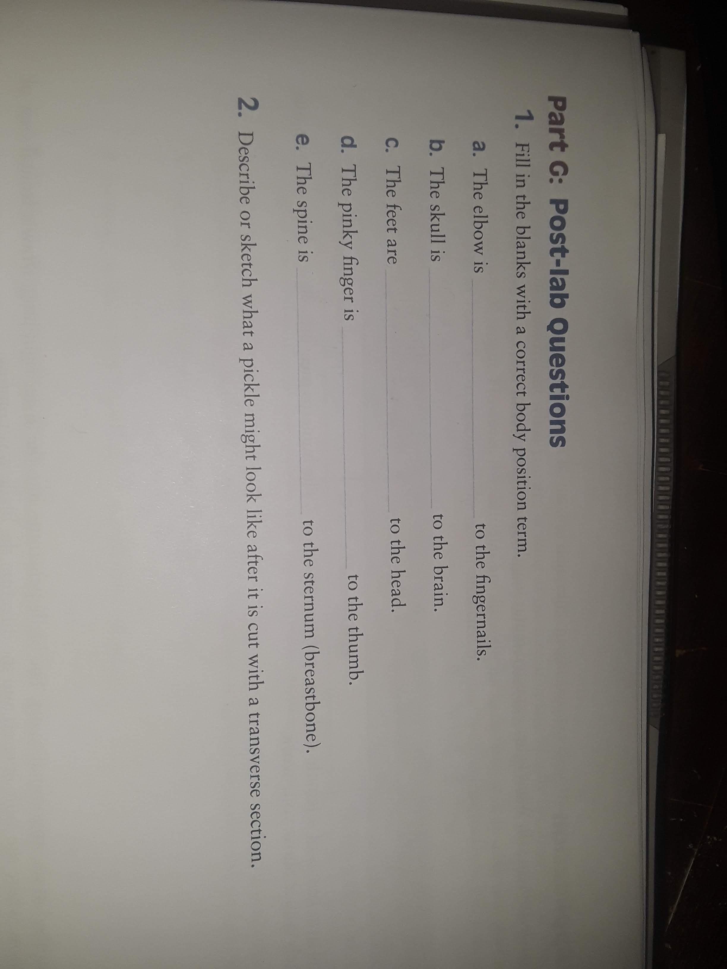 Part G: Post-lab Questions
1. Fill in the blanks with a correct body position term.
a. The elbow is
b. The skull is
C. The feet are
d. The pinky finger is
to the fingernails.
to the brain.
to the head.
to the thumb.
e spine iS
to the sternum (breastbone).
2. Describe or sketch what a pickle might look like after it is cut with a transverse section.
