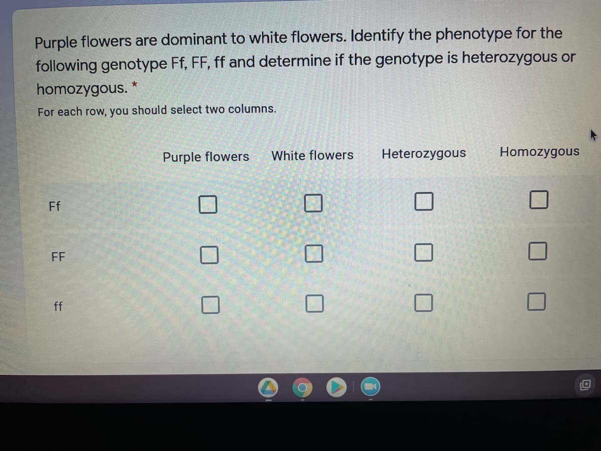 Purple flowers are dominant to white flowers. Identify the phenotype for the
following genotype Ff, FF, ff and determine if the genotype is heterozygous or
homozygous.
For each row, you should select two columns.
Purple flowers
White flowers
Heterozygous
Homozygous
Ff
FF
ff
O O O
O O O
