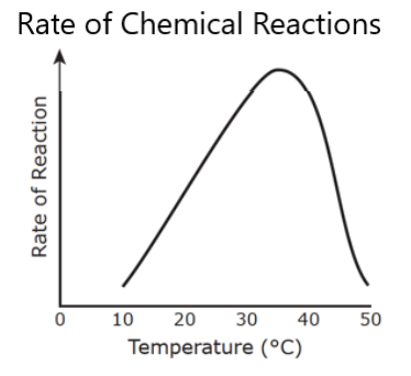 Rate of Chemical Reactions
10
20
30
40
50
Temperature (°C)
Rate of Reaction
