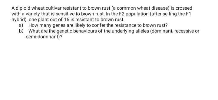 A diploid wheat cultivar resistant to brown rust (a common wheat disease) is crossed
with a variety that is sensitive to brown rust. In the F2 population (after selfing the F1
hybrid), one plant out of 16 is resistant to brown rust.
a) How many genes are likely to confer the resistance to brown rust?
b) What are the genetic behaviours of the underlying alleles (dominant, recessive or
semi-dominant)?
