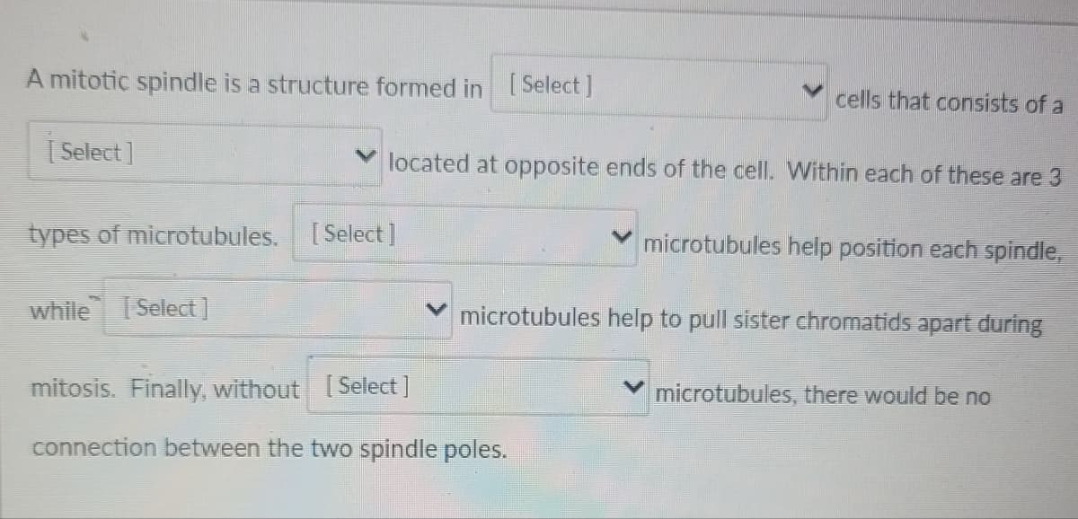 A mitotic spindle is a structure formed in [Select]
[Select]
types of microtubules. [Select]
while [Select]
located at opposite ends of the cell. Within each of these are 3
cells that consists of a
mitosis. Finally, without [Select]
connection between the two spindle poles.
microtubules help position each spindle,
microtubules help to pull sister chromatids apart during
microtubules, there would be no