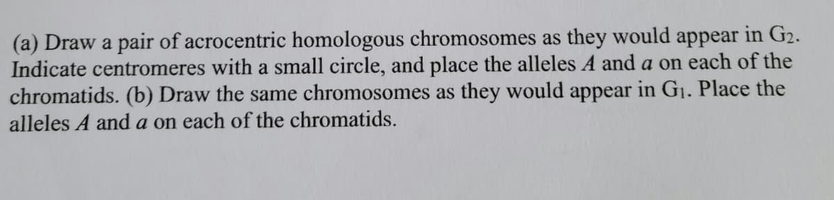 (a) Draw a pair of acrocentric homologous chromosomes as they would appear in G₂.
Indicate centromeres with a small circle, and place the alleles A and a on each of the
chromatids. (b) Draw the same chromosomes as they would appear in G₁. Place the
alleles A and a on each of the chromatids.