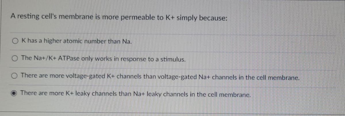 A resting cell's membrane is more permeable to K+ simply because:
K has a higher atomic number than Na.
The Na+/K+ ATPase only works in response to a stimulus.
There are more voltage-gated K+ channels than voltage-gated Na+ channels in the cell membrane.
There are more K+ leaky channels than Na+ leaky channels in the cell membrane.