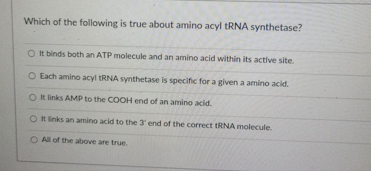 Which of the following is true about amino acyl tRNA synthetase?
O It binds both an ATP molecule and an amino acid within its active site.
Each amino acyl tRNA synthetase is specific for a given a amino acid.
O It links AMP to the COOH end of an amino acid.
It links an amino acid to the 3' end of the correct tRNA molecule.
O All of the above are true.