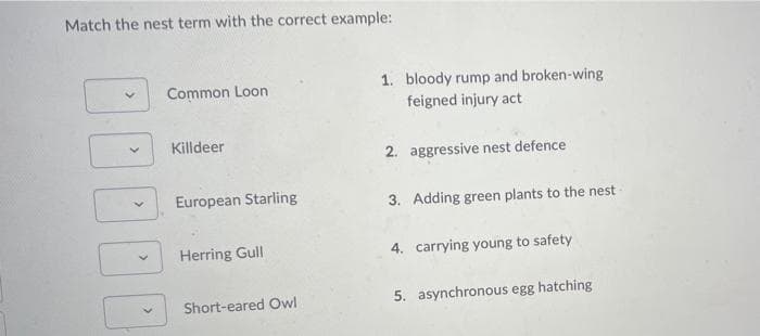 Match the nest term with the correct example:
1. bloody rump and broken-wing
feigned injury act
Common Loon
Killdeer
2. aggressive nest defence
European Starling
3. Adding green plants to the nest
Herring Gull
4. carrying young to safety
Short-eared Owl
5. asynchronous egg hatching
