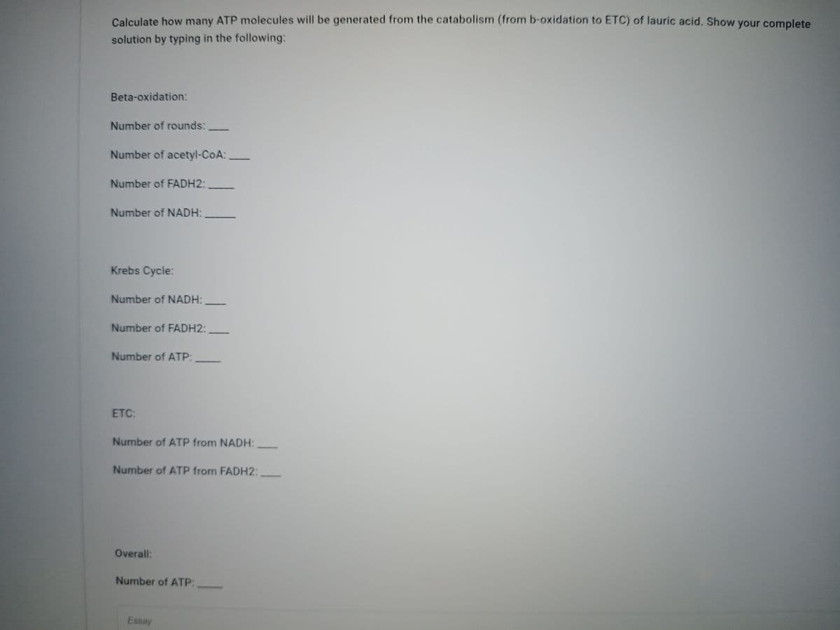 Calculate how many ATP molecules will be generated from the catabolism (from b-oxidation to ETC) of lauric acid. Show your complete
solution by typing in the following:
Beta-oxidation:
Number of rounds:
--
Number of acetyl-CoA:
Number of FADH2:
Number of NADH:
Krebs Cycle:
Number of NADH:
Number of FADH2:
Number of ATP:
ETC:
Number of ATP from NADH:
Number of ATP from FADH2:
Overall:
Number of ATP:
Essay