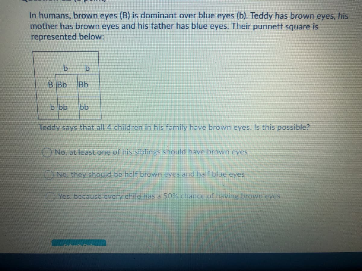 In humans, brown cyes (B) is dominant over blue eyes (b). Teddy has brown eyes, his
mother has brown eyes and his father has blue eyes. Their punnett square is
represented below:
B Bb
Bb
b bb
bb
Teddy says that all 4 children in his family have brown cyes. Is this possible?
No, at least one of his siblings should have brown eyes
No, they should be half brown cycs and half blue eycs
Yes, because every chld nas a 50% chance of having brown cycs
