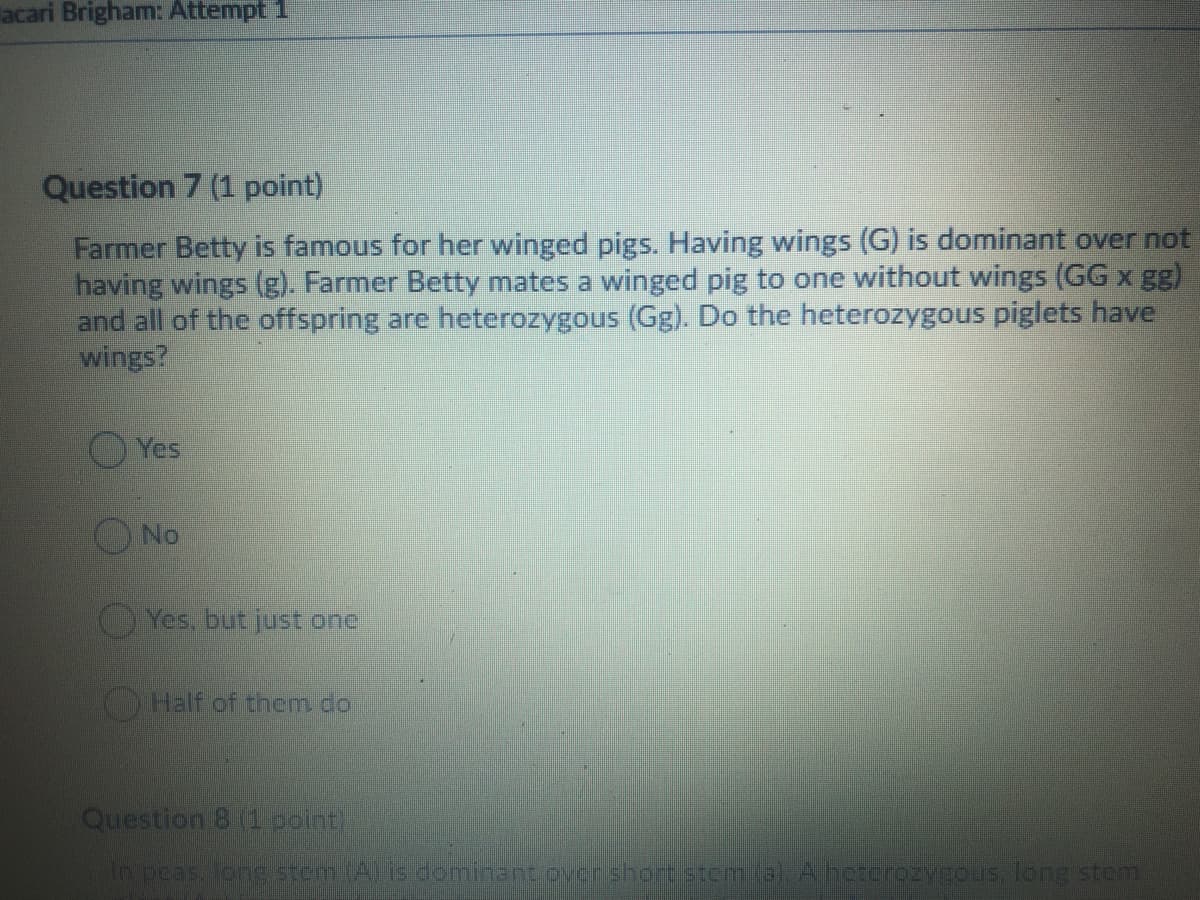 acari Brigham: Attempt 1
Question 7 (1 point)
Farmer Betty is famous for her winged pigs. Having wings (G) is dominant over not
having wings (g). Farmer Betty mates a winged pig to one without wings (GG x gg)
and all of the offspring are heterozygous (Gg). Do the heterozygous piglets have
wings?
Yes
No
OHalf of them do
Question 8 (1 point
n peas.tong sem Als dominant oversho stem (a) Aheterozygous long stem
