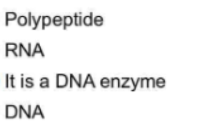 Polypeptide
RNA
It is a DNA enzyme
DNA