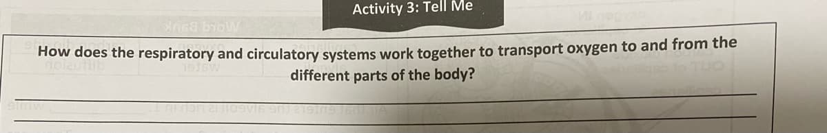 Activity 3: Tell Me
How does the respiratory and circulatory systems work together to transport oxygen to and from the
different parts of the body?
