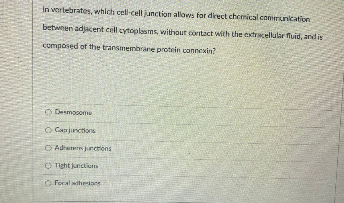 In vertebrates, which cell-cell junction allows for direct chemical communication
between adjacent cell cytoplasms, without contact with the extracellular fluid, and is
composed of the transmembrane protein connexin?
O Desmosome
O Gap junctions
O Adherens junctions
O Tight junctions
O Focal adhesions
