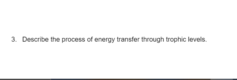 3. Describe the process of energy transfer through trophic levels.
