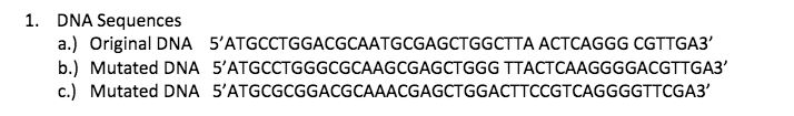 1. DNA Sequences
a.) Original DNA 5'ATGCCTGGACGCAATGCGAGCTGGCTTA ACTCAGGG CGTTGA3'
b.) Mutated DNA 5'ATGCCTGGGCGCAAGCGAGCTGGG TTACTCAAGGGGACGTTGA3'
c.) Mutated DNA 5'ATGCGCGGACGCAAACGAGCTGGACTTCCGTCAGGGGTTCGA3'

