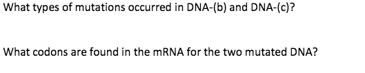 What types of mutations occurred in DNA-(b) and DNA-(c)?
What codons are found in the mRNA for the two mutated DNA?
