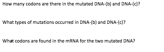 How many codons are there in the mutated DNA-(b) and DNA-(c)?
What types of mutations occurred in DNA-(b) and DNA-(c)?
What codons are found in the MRNA for the two mutated DNA?

