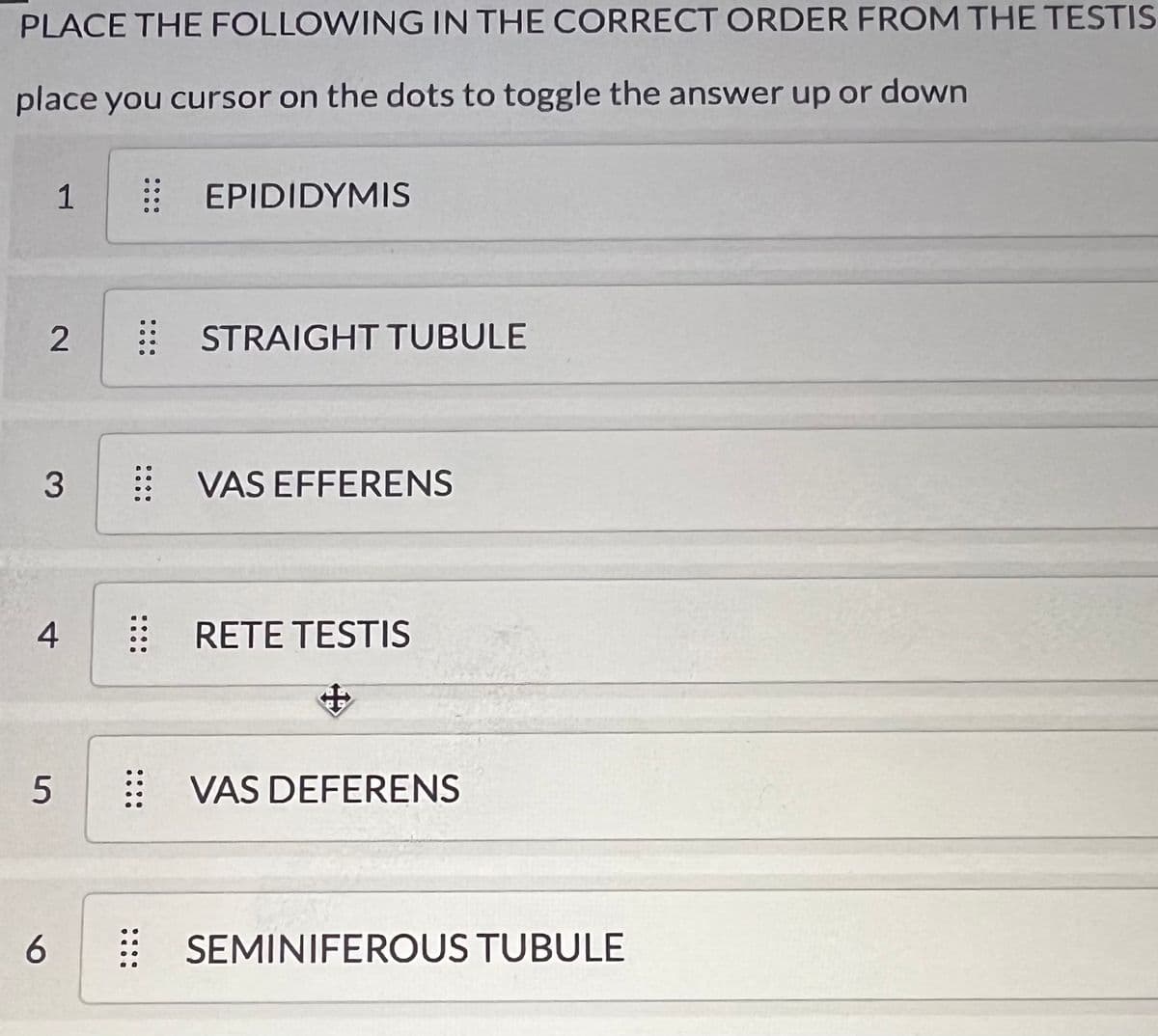 PLACE THE FOLLOWING IN THE CORRECT ORDER FROM THE TESTIS
place you cursor on the dots to toggle the answer up or down
2
1
3
4
5
6
EPIDIDYMIS
STRAIGHT TUBULE
:: VAS EFFERENS
RETE TESTIS
VAS DEFERENS
⠀⠀ SEMINIFEROUS TUBULE
