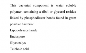 This bacterial component is water soluble
polymer, containing a ribol or glycerol residue
linked by phosphodiester bonds found in gram
positive bacteria:
Lipopolysaccharide
Endospore
Glycocalyx
Teichoic acid
