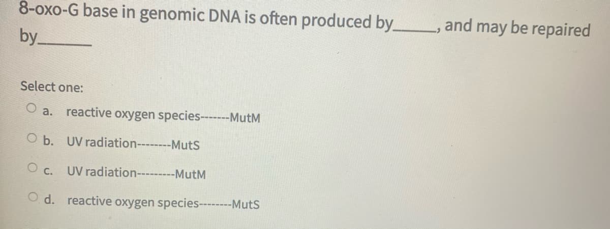 8-oxo-G base in genomic DNA is often produced by_
and may be repaired
by
Select one:
a.
reactive oxygen species-------MutM
O b. UV radiation--- -MutS
С.
UV radiation---------MutM
O d. reactive oxygen species---
-MutS
