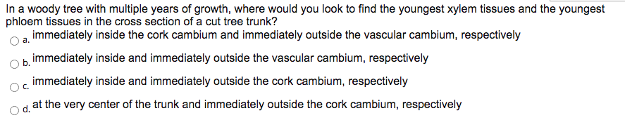 In a woody tree with multiple years of growth, where would you look to find the youngest xylem tissues and the youngest
phloem tissues in the cross section of a cut tree trunk?
immediately inside the cork cambium and immediately outside the vascular cambium, respectively
а.
b immediately inside and immediately outside the vascular cambium, respectively
immediately inside and immediately outside the cork cambium, respectively
at the very center of the trunk and immediately outside the cork cambium, respectively
d.
