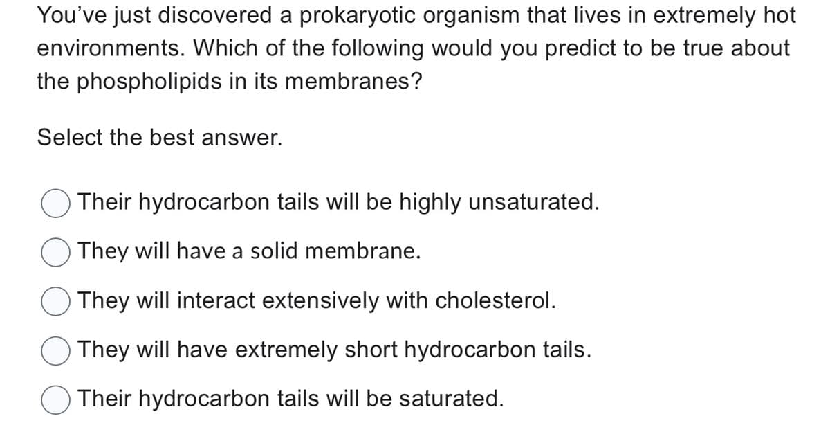 You've just discovered a prokaryotic organism that lives in extremely hot
environments. Which of the following would you predict to be true about
the phospholipids in its membranes?
Select the best answer.
Their hydrocarbon tails will be highly unsaturated.
They will have a solid membrane.
They will interact extensively with cholesterol.
They will have extremely short hydrocarbon tails.
Their hydrocarbon tails will be saturated.
