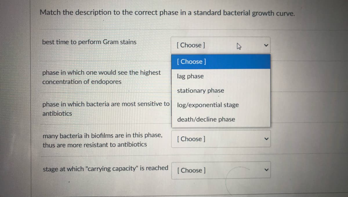 Match the description to the correct phase in a standard bacterial growth curve.
best time to perform Gram stains
[ Choose ]
[Choose ]
phase in which one would see the highest
concentration of endopores
lag phase
stationary phase
phase in which bacteria are most sensitive to log/exponential stage
antibiotics
death/decline phase
many bacteria ih biofilms are in this phase,
[Choose]
thus are more resistant to antibiotics
stage at which "carrying capacity" is reached
[Choose ]
