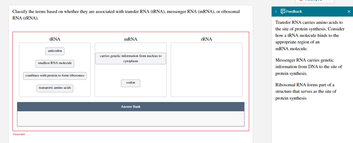 Classify the terms based on whether they are associated with transfer RNA (tRNA), messenger RNA (mRNA), or ribosomal
RNA (rRNA).
Incorrect
tRNA
anticodon
smallest RNA molecule
combines with protein to form ribosomes
transports amino acids
mRNA
carries genetic information from nucleus to
cytoplasm
codon
Answer Bank
rRNA
Feedback
Transfer RNA carries amino acids to
the site of protein synthesis. Consider
how a tRNA molecule binds to the
appropriate region of an
mRNA molecule.
Messenger RNA carries genetic
information from DNA to the site of
protein synthesis.
Ribosomal RNA forms part of a
structure that serves as the site of
protein synthesis.