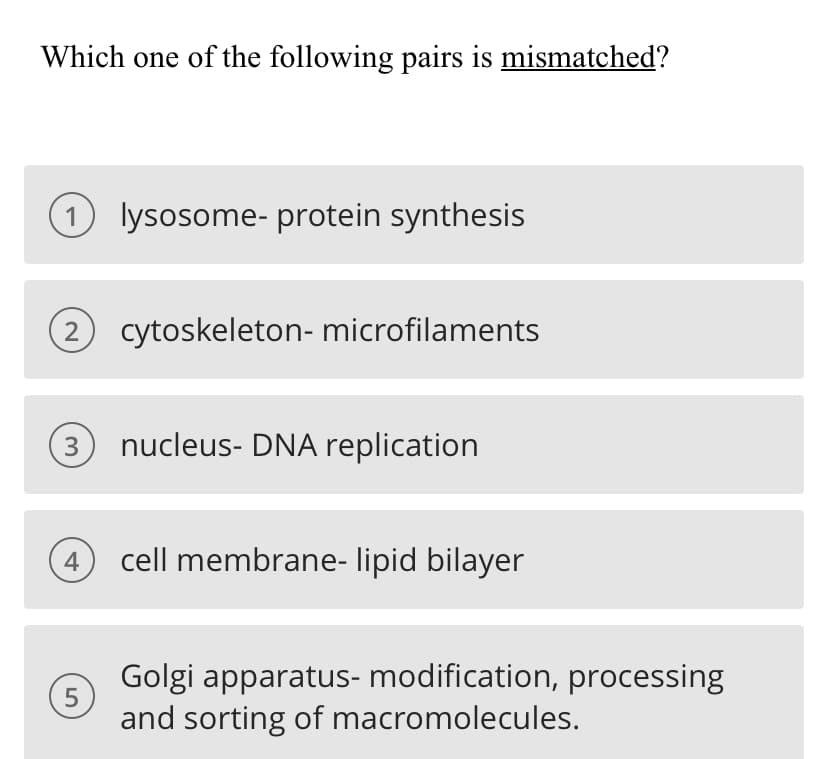 Which one of the following pairs is mismatched?
1 lysosome- protein synthesis
2 cytoskeleton- microfilaments
3
nucleus- DNA replication
4
cell membrane- lipid bilayer
Golgi apparatus- modification, processing
5
and sorting of macromolecules.
