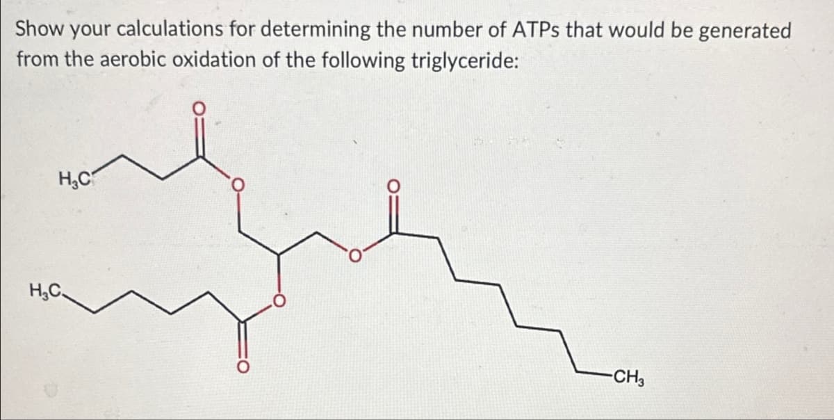 Show your calculations for determining the number of ATPs that would be generated
from the aerobic oxidation of the following triglyceride:
H₂C
H₂C
-CH3