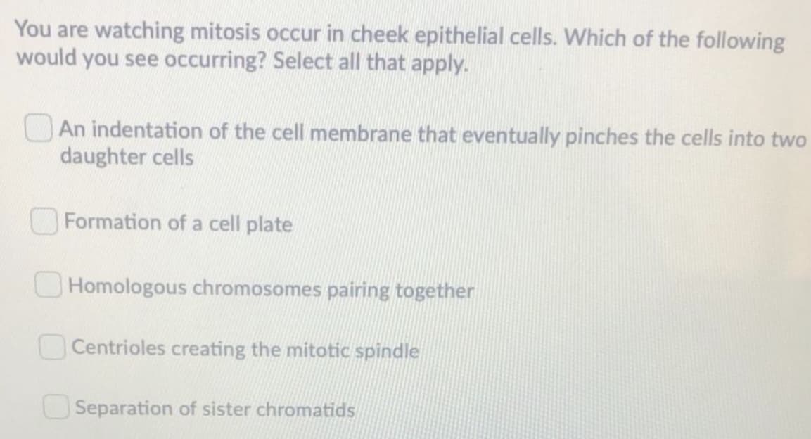 You are watching mitosis occur in cheek epithelial cells. Which of the following
would you see occurring? Select all that apply.
An indentation of the cell membrane that eventually pinches the cells into two
daughter cells
OFormation of a cell plate
O Homologous chromosomes pairing together
Centrioles creating the mitotic spindle
Separation of sister chromatids
