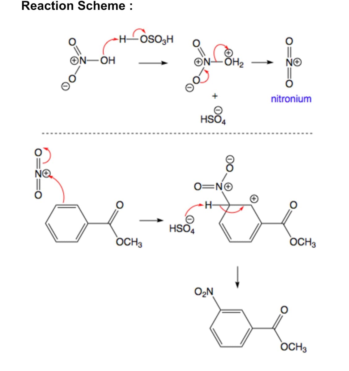 Reaction Scheme:
ON-OH
NO
HOSO3H
-ÕH₂
HSO4
8
O=NO
Bete
H-
HSO4
OCH3
O₂N
nitronium
OCH3
OCH3