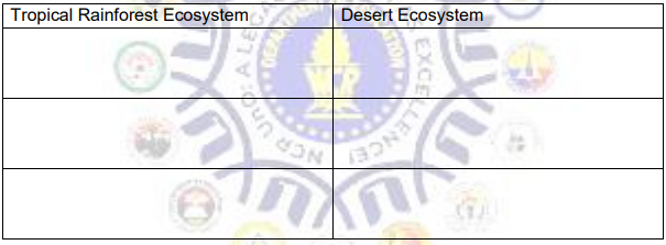 Tropical Rainforest Ecosystem
Desert Ecosystem
EXCE
