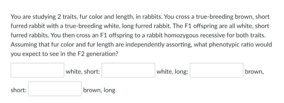 You are studying 2 traits, fur color and length, in rabbits. You cross a true-breeding brown, short
furred rabbit with a true-breeding white, long furred rabbit. The F1 offspring are all white, short
furred rabbits. You then cross an F1 offspring to a rabbit homozygous recessive for both traits.
Assuming that fur color and fur length are independently assorting, what phenotypic ratio would
you expect to see in the F2 generation?
white, short:
white, long:
brown,
short:
brown, long
