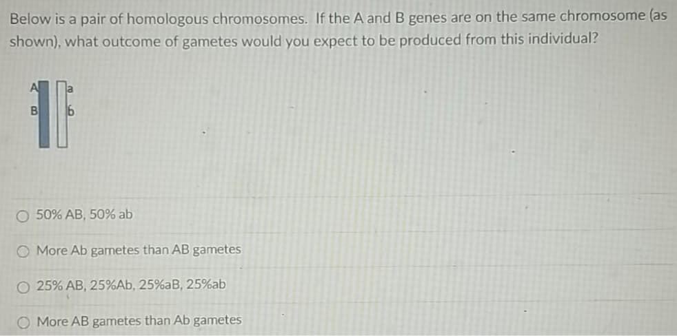 Below is a pair of homologous chromosomes. If the A and B genes are on the same chromosome (as
shown), what outcome of gametes would you expect to be produced from this individual?
B
16
O 50% AB, 50% ab
O More Ab gametes than AB gametes
O 25% AB, 25%Ab, 25%aB, 25%ab
O More AB gametes than Ab gametes
