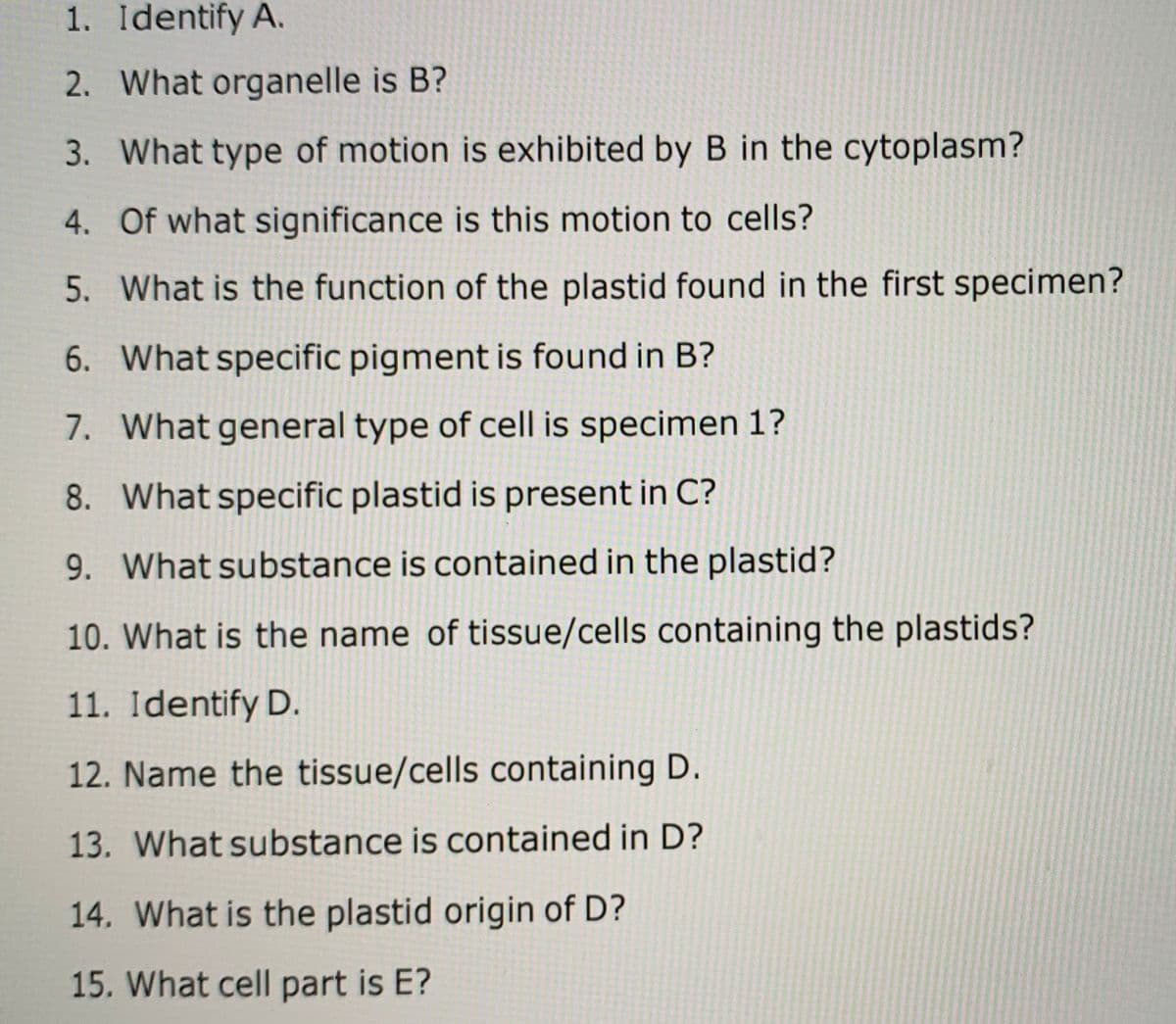 1. Identify A.
2. What organelle is B?
3. What type of motion is exhibited by B in the cytoplasm?
4. Of what significance is this motion to cells?
5. What is the function of the plastid found in the first specimen?
6. What specific pigment is found in B?
7. What general type of cell is specimen 1?
8. What specific plastid is present in C?
9. What substance is contained in the plastid?
10. What is the name of tissue/cells containing the plastids?
11. Identify D.
12. Name the tissue/cells containing D.
13. What substance is contained in D?
14. What is the plastid origin of D?
15. What cell part is E?
