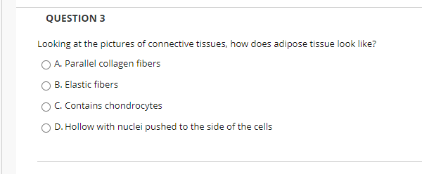 QUESTION 3
Looking at the pictures of connective tissues, how does adipose tissue look like?
A. Parallel collagen fibers
O B. Elastic fibers
OC. Contains chondrocytes
O D. Hollow with nuclei pushed to the side of the cells
